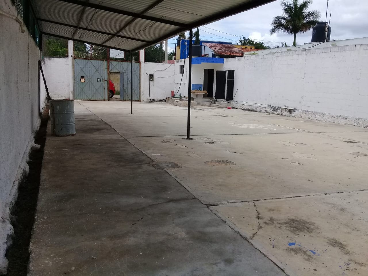 Fotografia 14.jpeg
