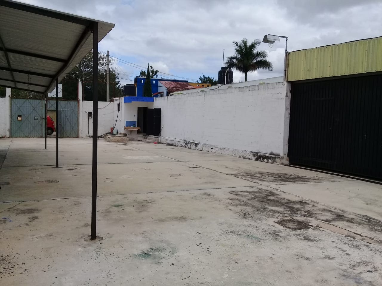 Fotografia 16.jpeg